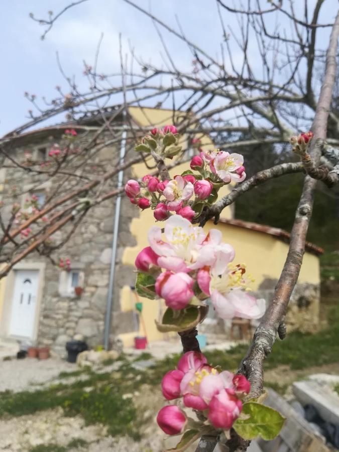 Skalameri Kozljak Exteriör bild